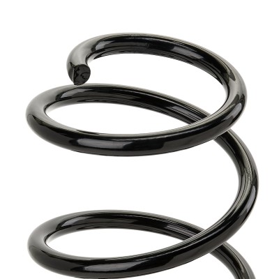 Suspension Spring RIDEX 188C0347 188C0347 - photo 6