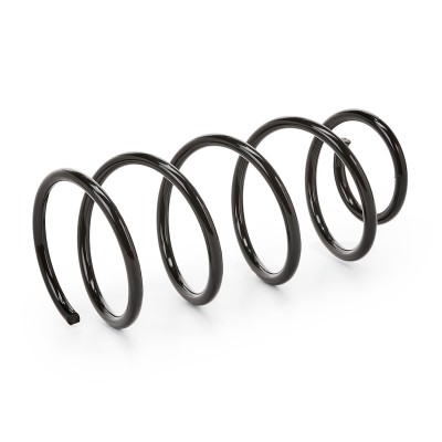 Suspension Spring RIDEX 188C0236 188C0236 - photo 5