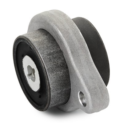 Control Arm Bushing RIDEX 251T0510P 251T0510P - photo 3