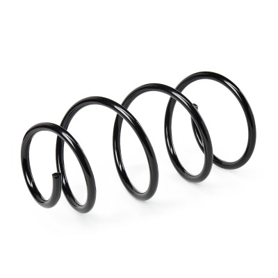 Suspension Spring RIDEX 188C0302 188C0302 - photo 3