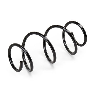 Suspension Spring RIDEX 188C0251 188C0251 - photo 6