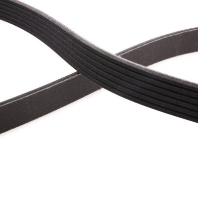 V-Ribbed Belt RIDEX 305P0216P 305P0216P - photo 9