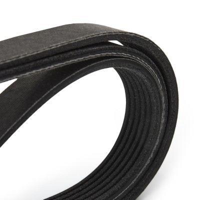V-Ribbed Belt RIDEX 305P0308P 305P0308P - photo 5