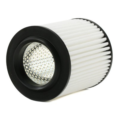 Air Filter RIDEX 8A0607 8A0607 - photo 4
