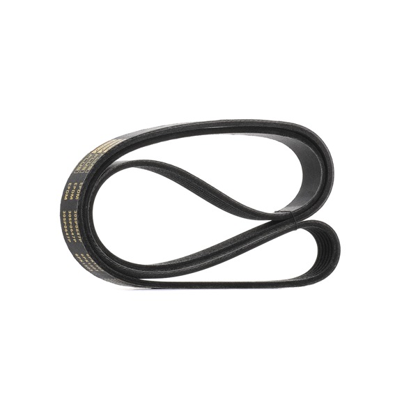 V-Ribbed Belt RIDEX 305P0647P 305P0647P - photo 1
