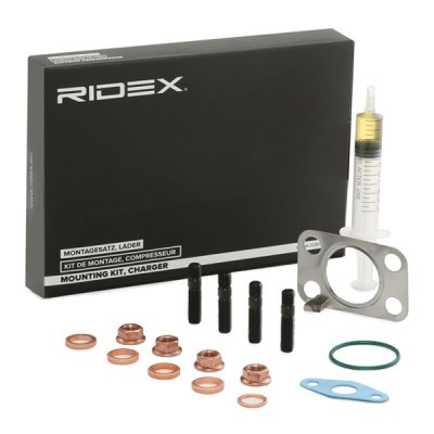 Turbocharger mounting kit RIDEX 2420M0021 2420M0021 - photo 2