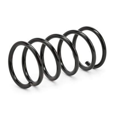 Suspension Spring RIDEX 188C0538 188C0538 - photo 6
