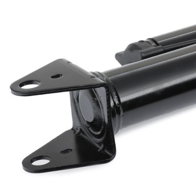Shock Absorber RIDEX 854S2387 854S2387 - photo 5