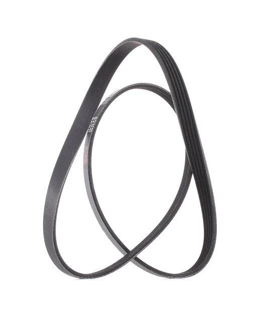 V-Ribbed Belt RIDEX 305P0038P 305P0038P - photo 1