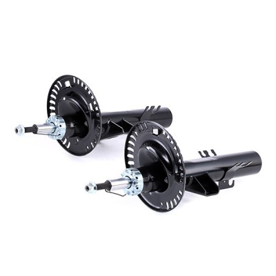 Shock Absorber RIDEX 854S0568 854S0568 - photo 4