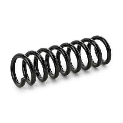 Suspension Spring RIDEX 188C0220 188C0220 - photo 6