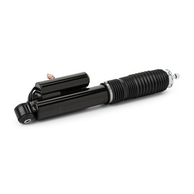 Shock Absorber RIDEX 854S1365 854S1365 - photo 3