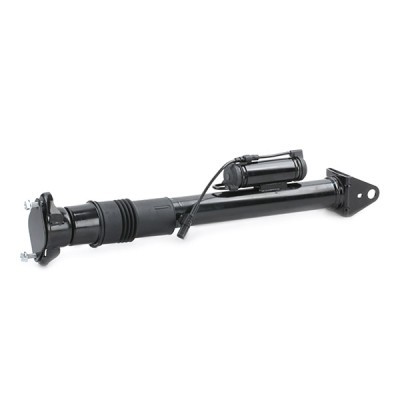 Shock Absorber RIDEX 854S1829 854S1829 - photo 8