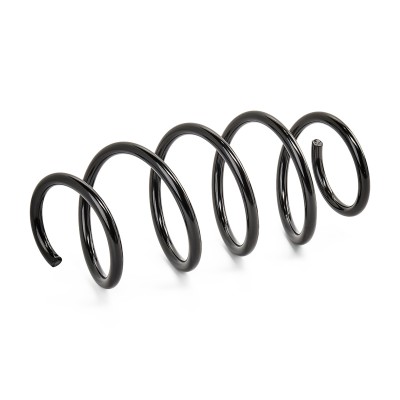 Suspension Spring RIDEX 188C0059 188C0059 - photo 7