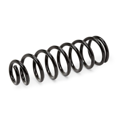Suspension Spring RIDEX 188C0129 188C0129 - photo 3