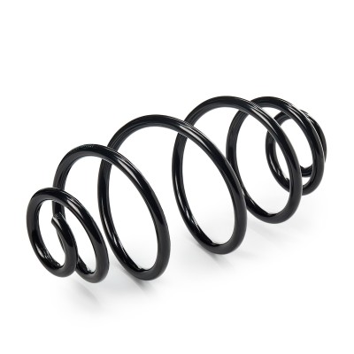 Suspension Spring RIDEX 188C0181 188C0181 - photo 6