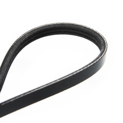 V-Ribbed Belt RIDEX 305P0126 305P0126 - photo 5