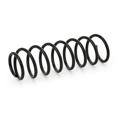 Suspension Spring RIDEX 188C0289 188C0289 - photo 3