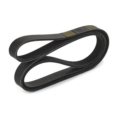 V-Ribbed Belt RIDEX 305P0421P 305P0421P - photo 4
