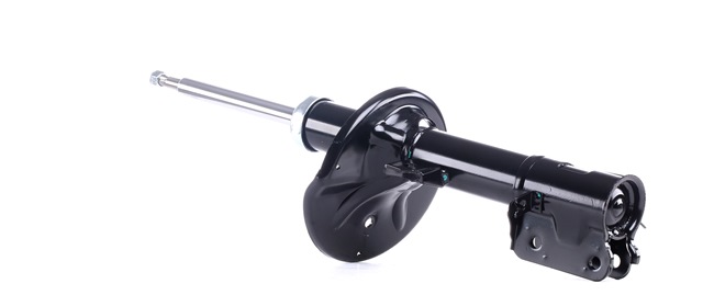 Shock Absorber RIDEX 854S0384 854S0384 - photo 1