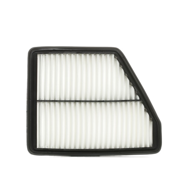 Air Filter RIDEX 8A0217 8A0217 - photo 1