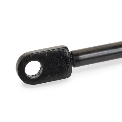 Bonnet  Gas Spring RIDEX 514G0032 514G0032 - photo 5