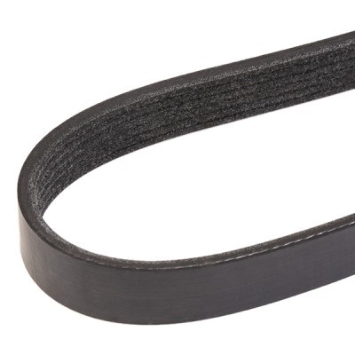 V-Ribbed Belt RIDEX 305P0064 305P0064 - photo 3