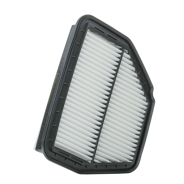 Air Filter RIDEX 8A1630 8A1630 - photo 1