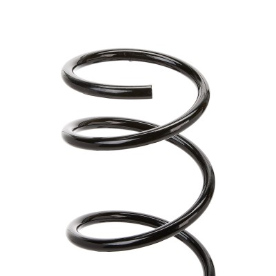 Suspension Spring RIDEX 188C0341 188C0341 - photo 6