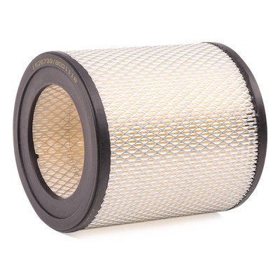 Air Filter RIDEX 8A0141 8A0141 - photo 3