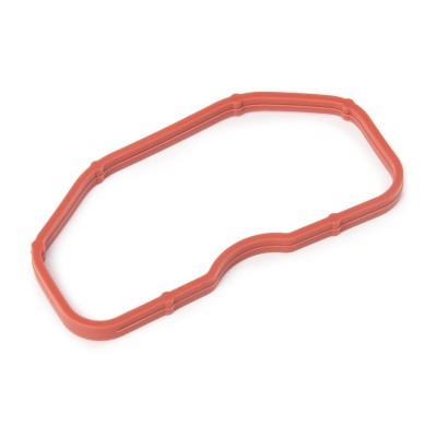 Intake manifold gasket RIDEX 42G0161 42G0161 - photo 2