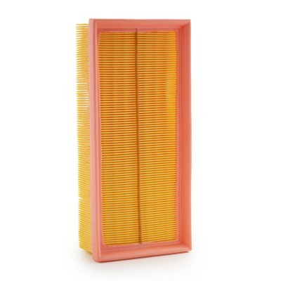 Air Filter RIDEX 8A1052 8A1052 - photo 3