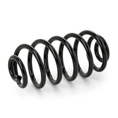Suspension Spring RIDEX 188C0610 188C0610 - photo 5