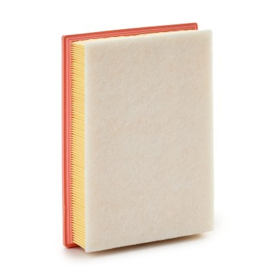 Air Filter RIDEX 8A1814 8A1814 - photo 3