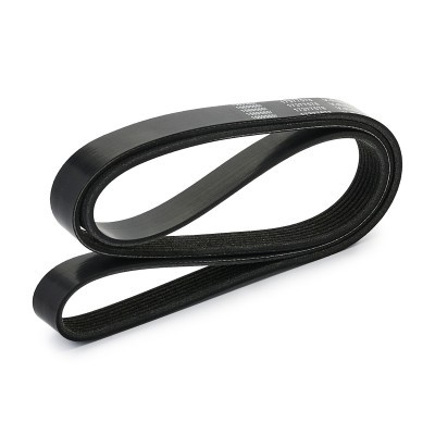 V-Ribbed Belt RIDEX 305P0579 305P0579 - photo 3
