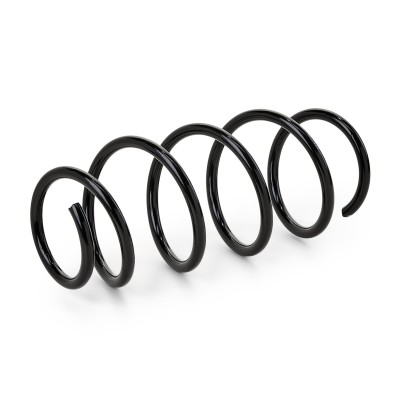 Suspension Spring RIDEX 188C0222 188C0222 - photo 6