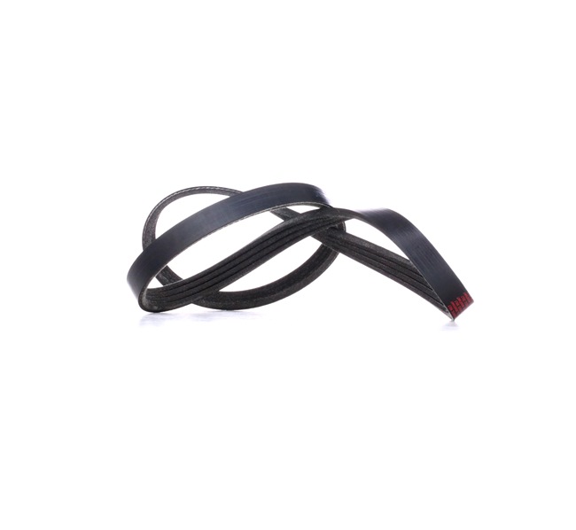 V-Ribbed Belt RIDEX 305P0226 305P0226 - photo 1