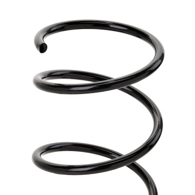 Suspension Spring RIDEX 188C0189 188C0189 - photo 7
