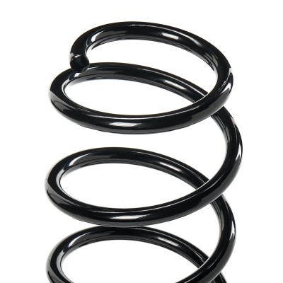 Suspension Spring RIDEX 188C0485 188C0485 - photo 4