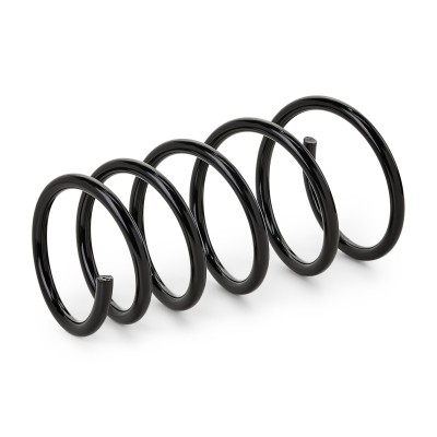 Suspension Spring RIDEX 188C0095 188C0095 - photo 6