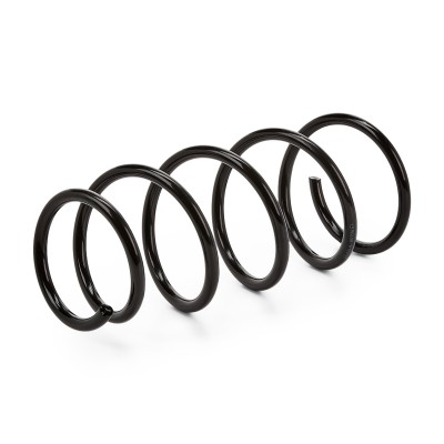 Suspension Spring RIDEX 188C0198 188C0198 - photo 4