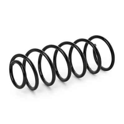 Suspension Spring RIDEX 188C0352 188C0352 - photo 5