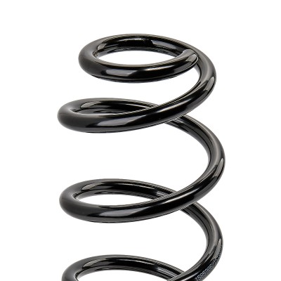 Suspension Spring RIDEX 188C0817 188C0817 - photo 8