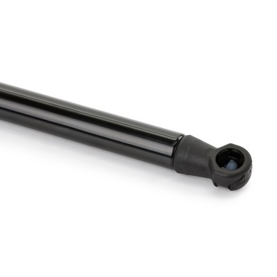 Bonnet  Gas Spring RIDEX 514G0047 514G0047 - photo 6