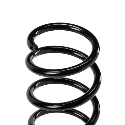 Suspension Spring RIDEX 188C0397 188C0397 - photo 5