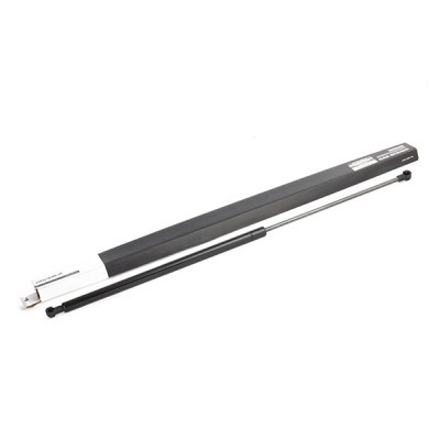 Bonnet  Gas Spring RIDEX 514G0102 514G0102 - photo 2