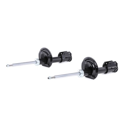 Shock Absorber RIDEX 854S1679 854S1679 - photo 3