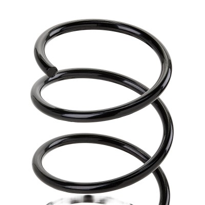 Suspension Spring RIDEX 188C0041 188C0041 - photo 5