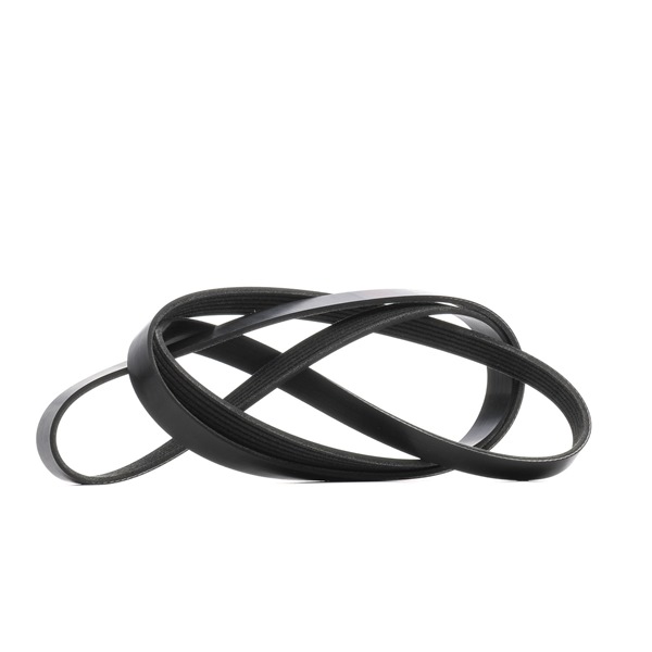 V-Ribbed Belt RIDEX 305P0516 305P0516 - photo 1