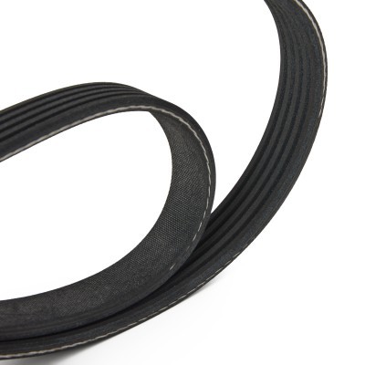 V-Ribbed Belt RIDEX 305P0551 305P0551 - photo 3